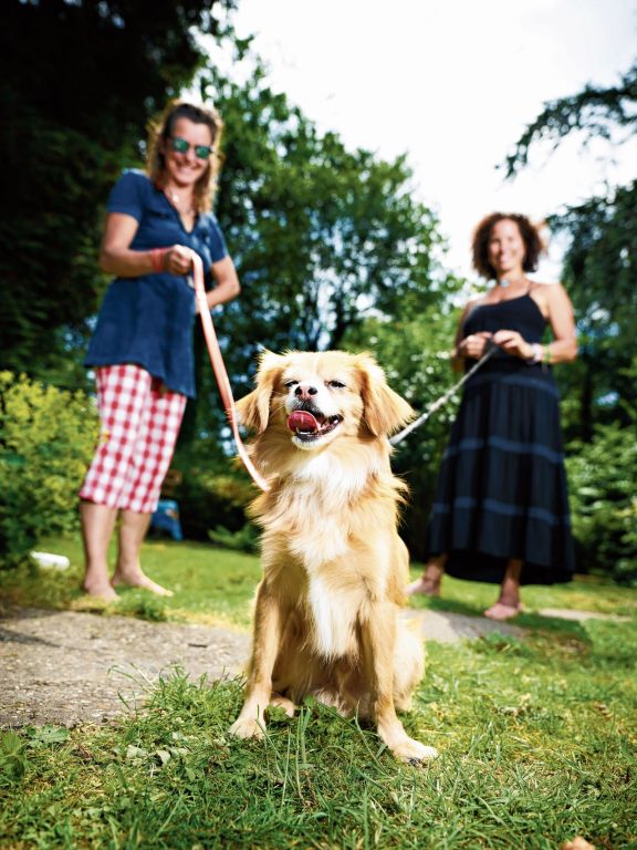 Zij zijn co-ouders, voor een huisdier